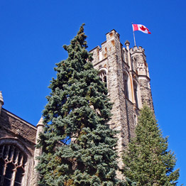 Script Reaction: London, Ontario, Canada